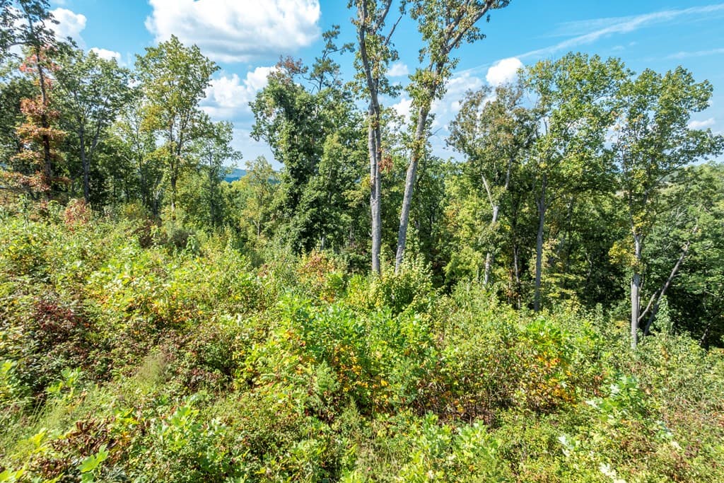 0 Highgrove Drive, Talking Rock GA 30175 - Photo