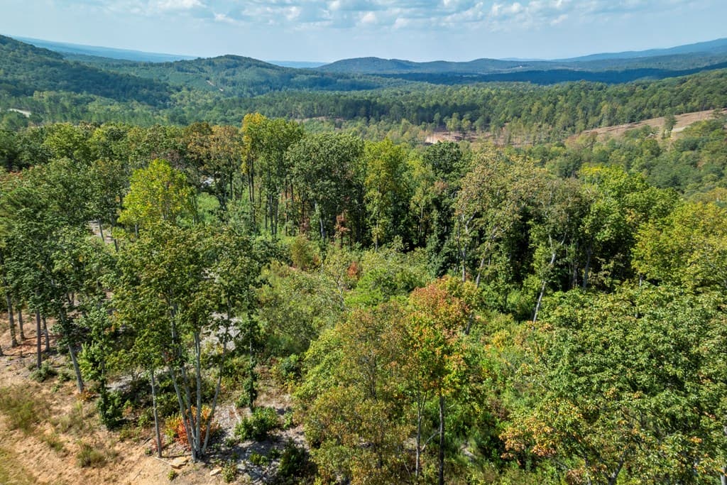 0 Highgrove Drive, Talking Rock GA 30175 - Photo