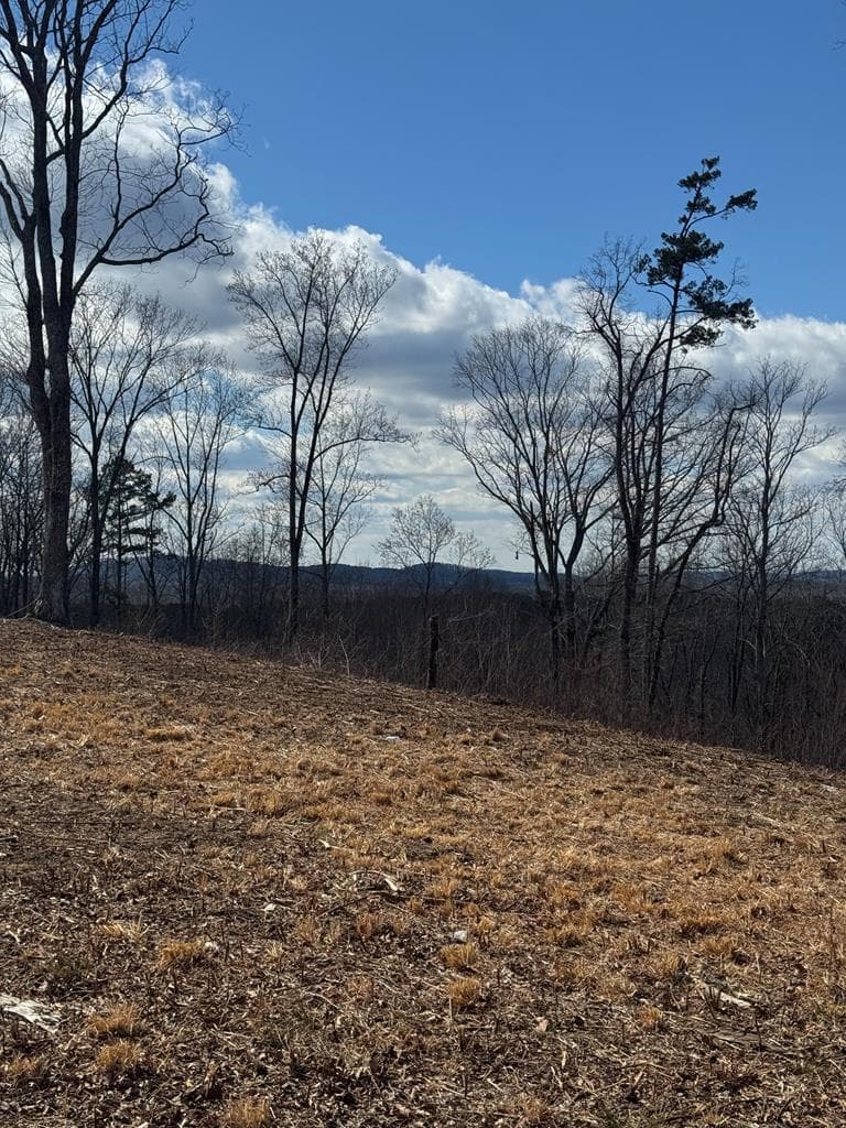 0 Highgrove Drive, Talking Rock GA 30175 - Photo