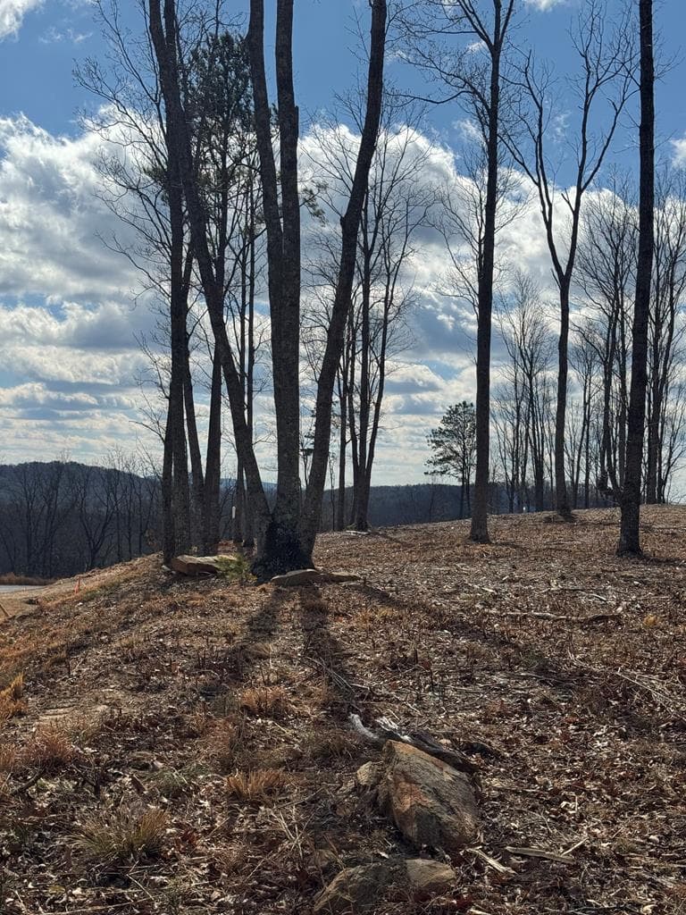 0 Highgrove Drive, Talking Rock GA 30175 - Photo