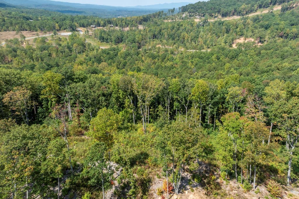 0 Highgrove Drive, Talking Rock GA 30175 - Photo