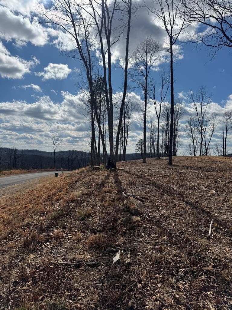 0 Highgrove Drive, Talking Rock GA 30175 - Primary photo
