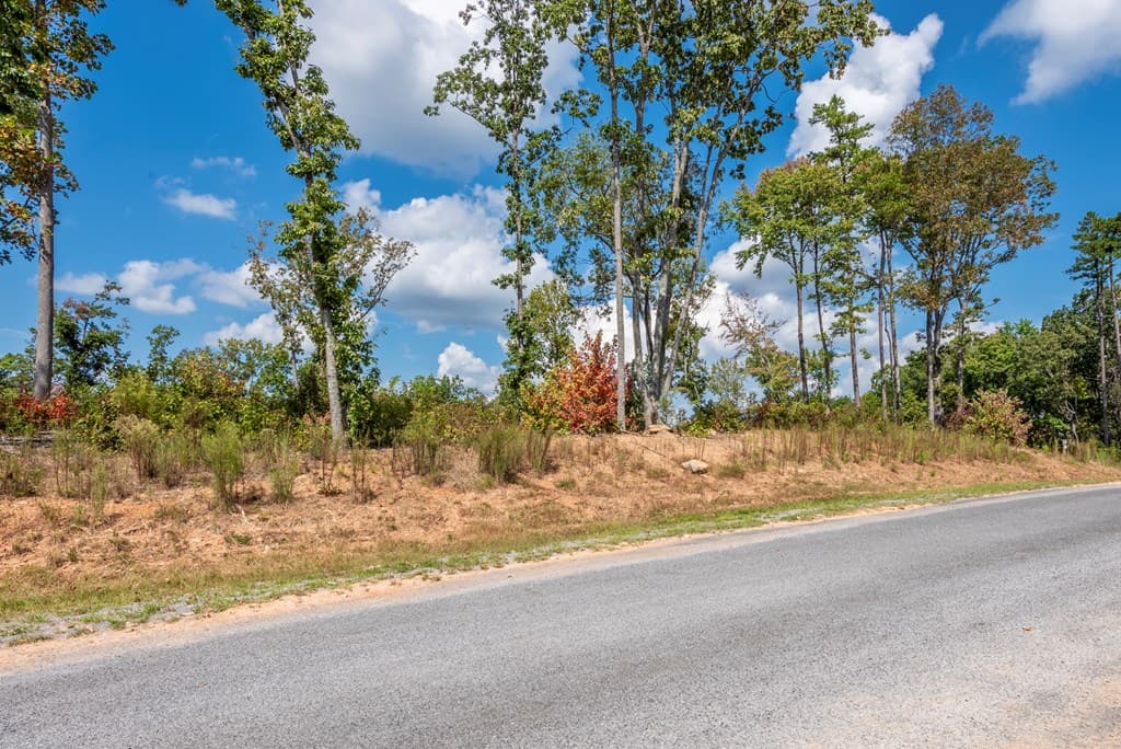 0 Highgrove Drive, Talking Rock GA 30175 - Photo