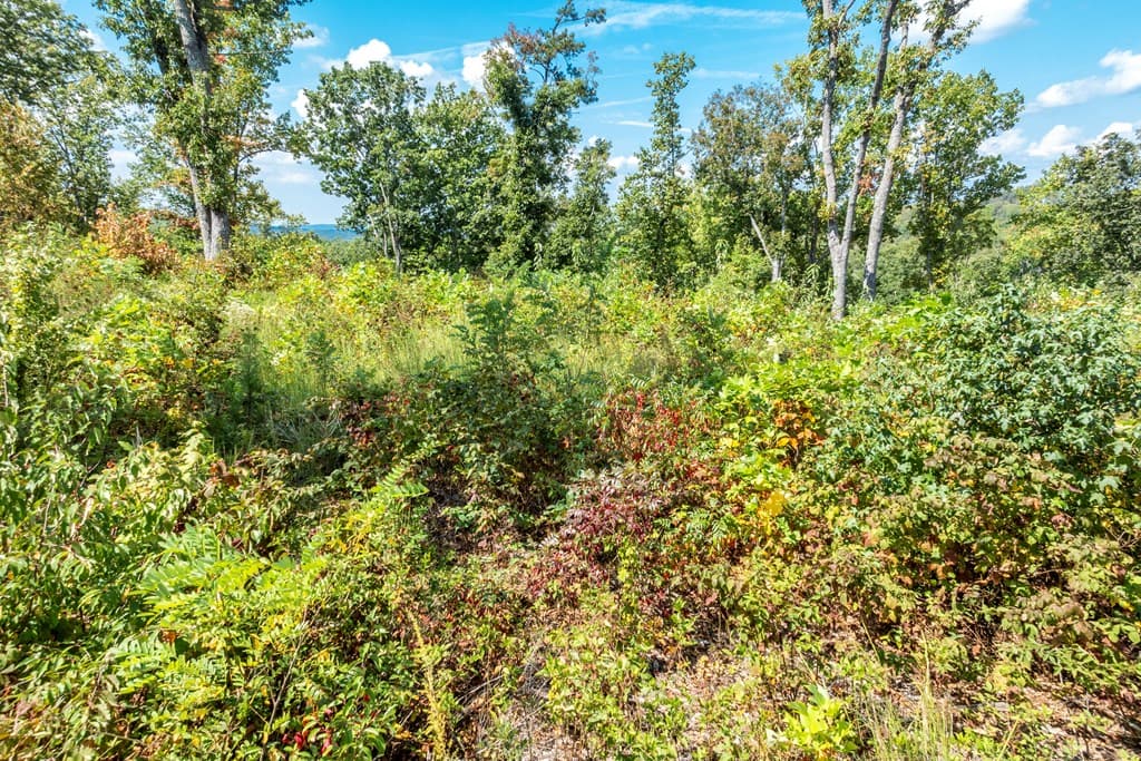 0 Highgrove Drive, Talking Rock GA 30175 - Photo