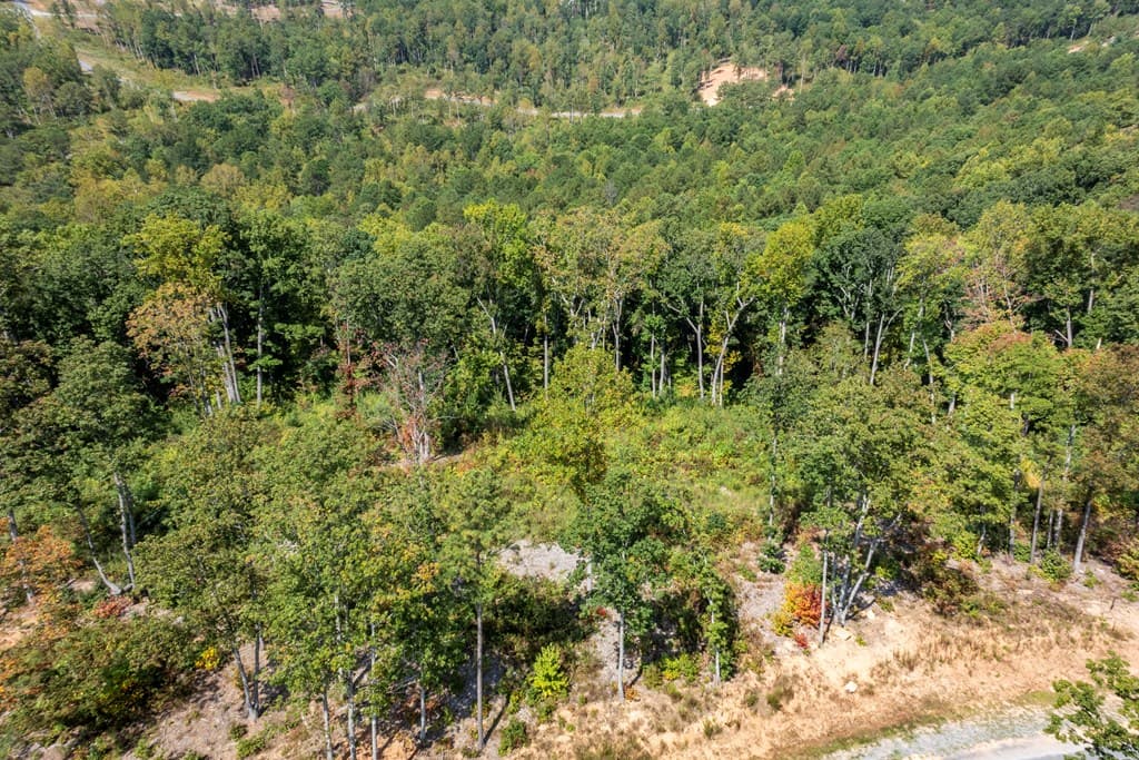 0 Highgrove Drive, Talking Rock GA 30175 - Photo