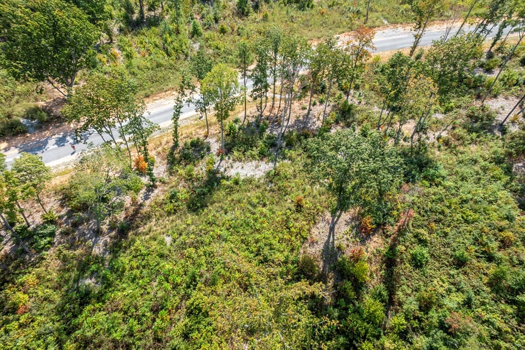 0 Highgrove Drive, Talking Rock GA 30175 - Photo