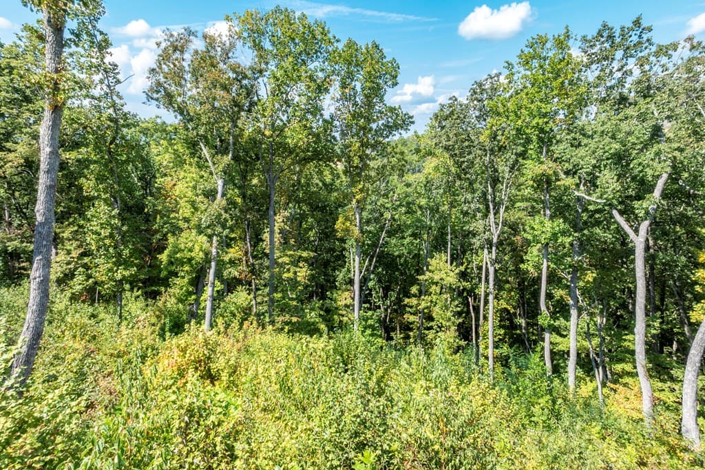 0 Highgrove Drive, Talking Rock GA 30175 - Photo