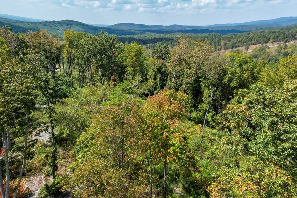 0 Highgrove Drive, Talking Rock GA 30175 - Photo