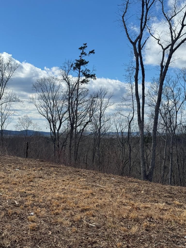 0 Highgrove Drive, Talking Rock GA 30175 - Photo