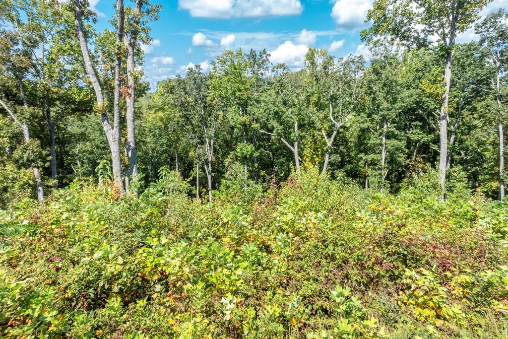 0 Highgrove Drive, Talking Rock GA 30175 - Photo