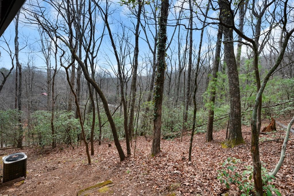 173 Mountain Laurel Lane, Ellijay GA 30536 - Photo