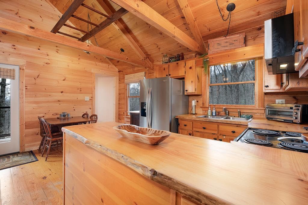 173 Mountain Laurel Lane, Ellijay GA 30536 - Photo