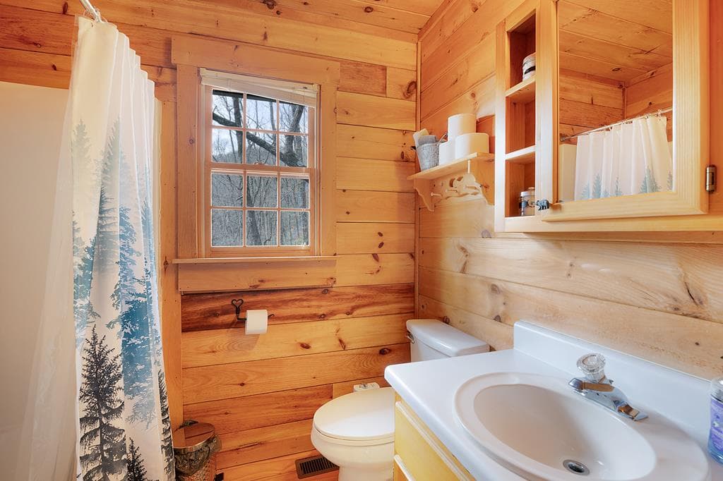 173 Mountain Laurel Lane, Ellijay GA 30536 - Photo