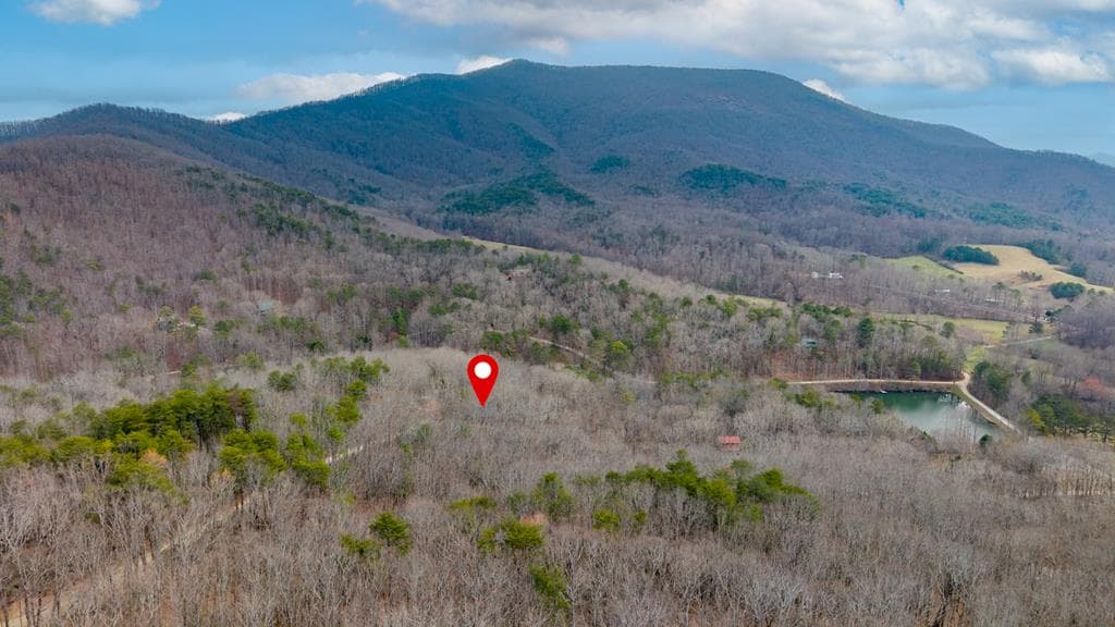 173 Mountain Laurel Lane, Ellijay GA 30536 - Photo