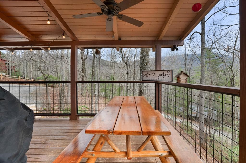 173 Mountain Laurel Lane, Ellijay GA 30536 - Photo