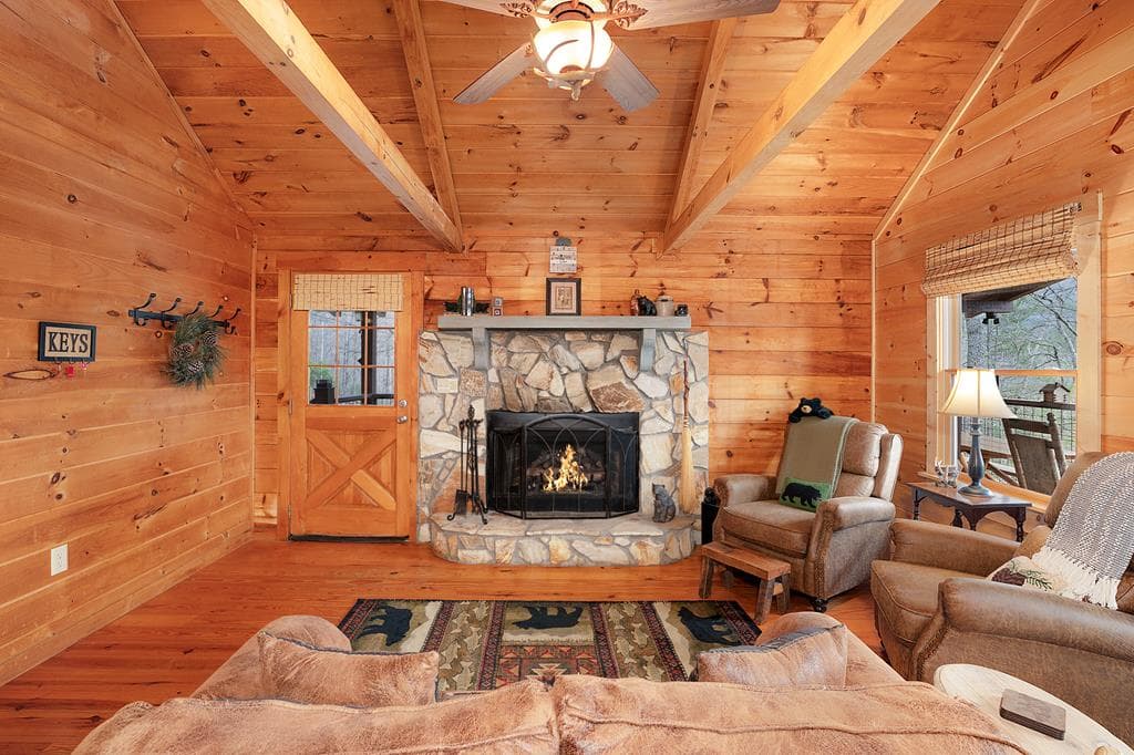 173 Mountain Laurel Lane, Ellijay GA 30536 - Photo