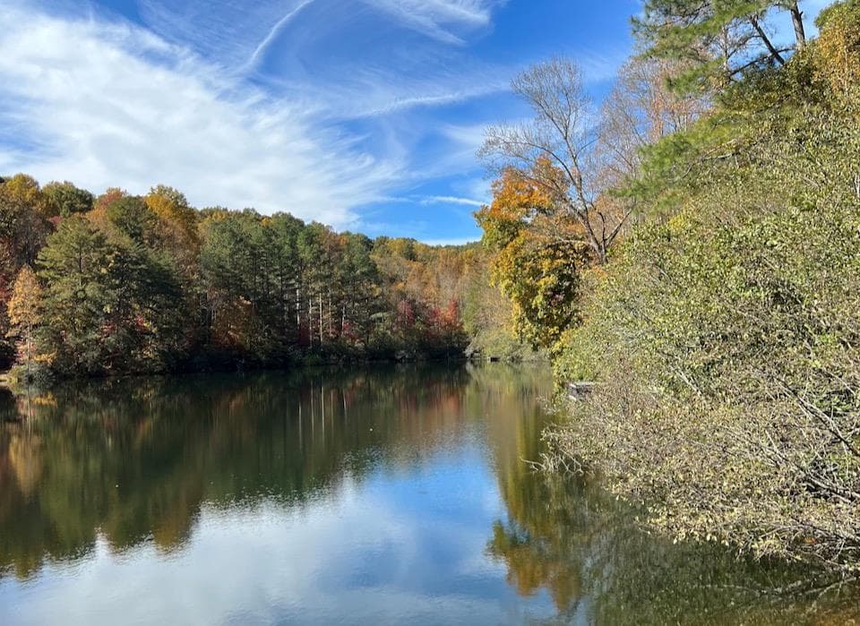 173 Mountain Laurel Lane, Ellijay GA 30536 - Photo