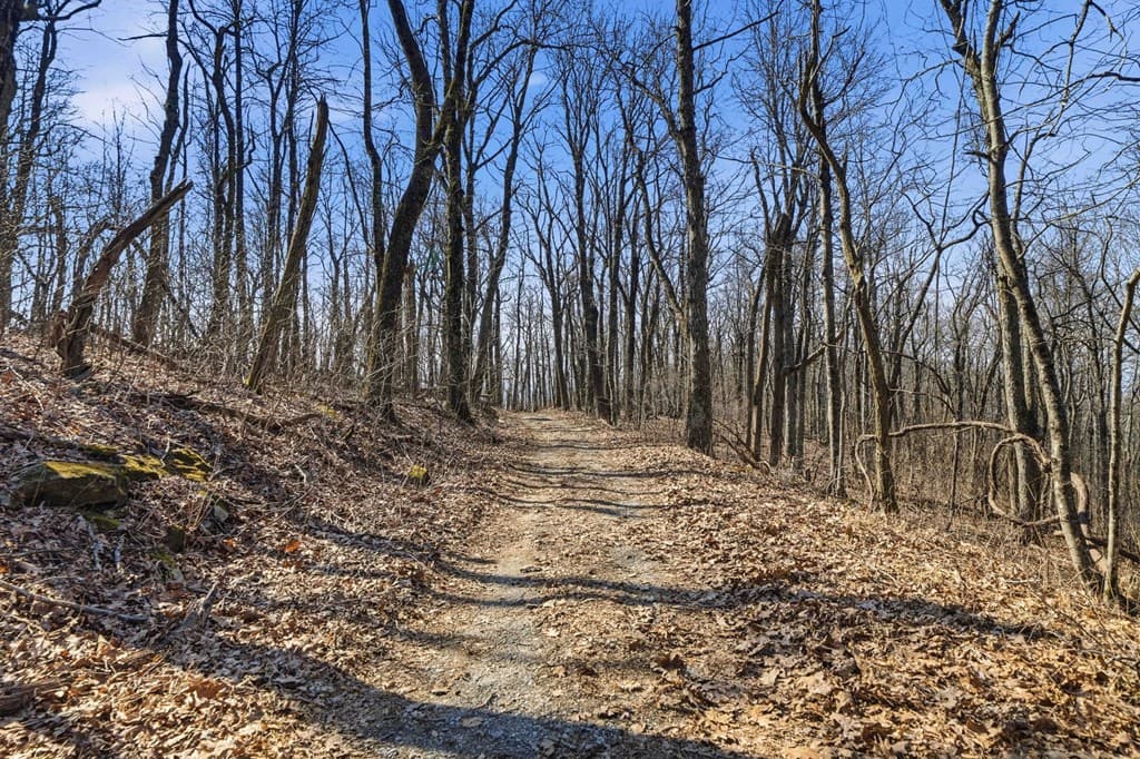 Trct C Old A T Approach Trail, Jasper GA 30143 - Photo