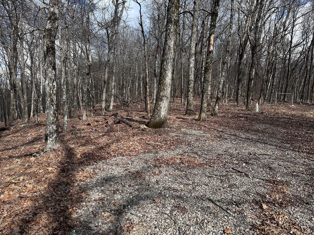 Trct C Old A T Approach Trail, Jasper GA 30143 - Photo