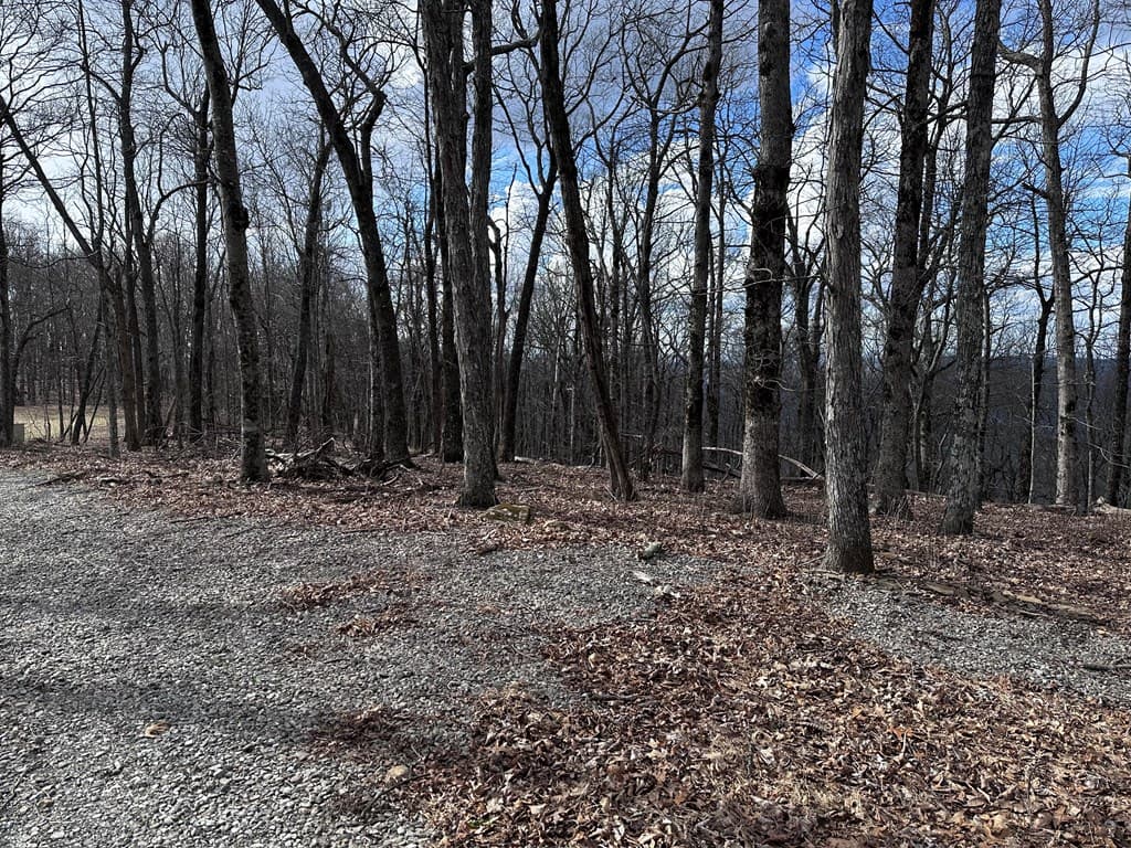 Trct C Old A T Approach Trail, Jasper GA 30143 - Photo