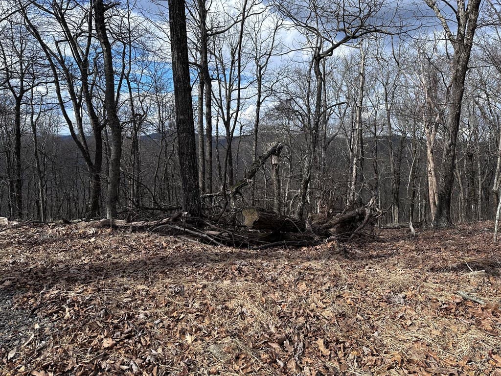 Trct C Old A T Approach Trail, Jasper GA 30143 - Photo