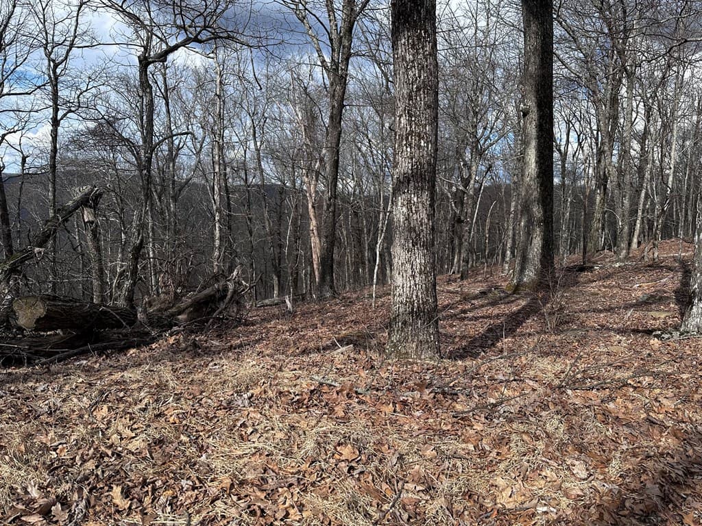 Trct C Old A T Approach Trail, Jasper GA 30143 - Photo