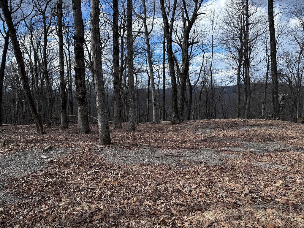 Trct C Old A T Approach Trail, Jasper GA 30143 - Photo