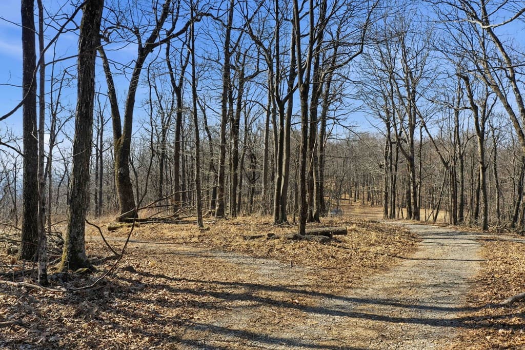 Trct C Old A T Approach Trail, Jasper GA 30143 - Photo