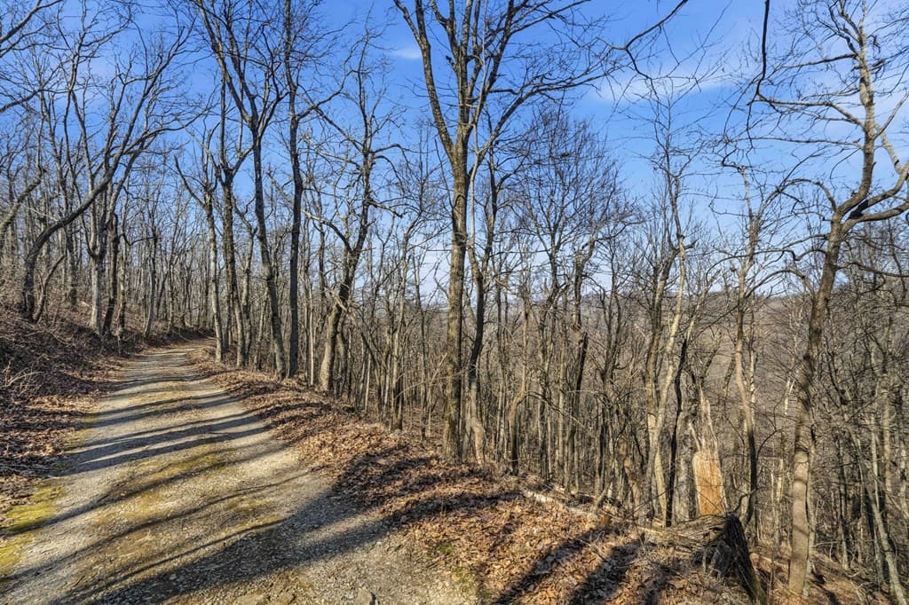 Trct C Old A T Approach Trail, Jasper GA 30143 - Photo