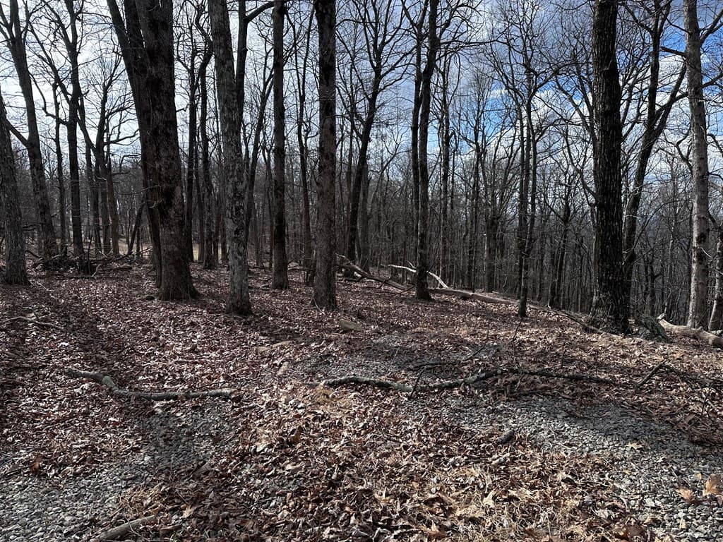 Trct C Old A T Approach Trail, Jasper GA 30143 - Photo