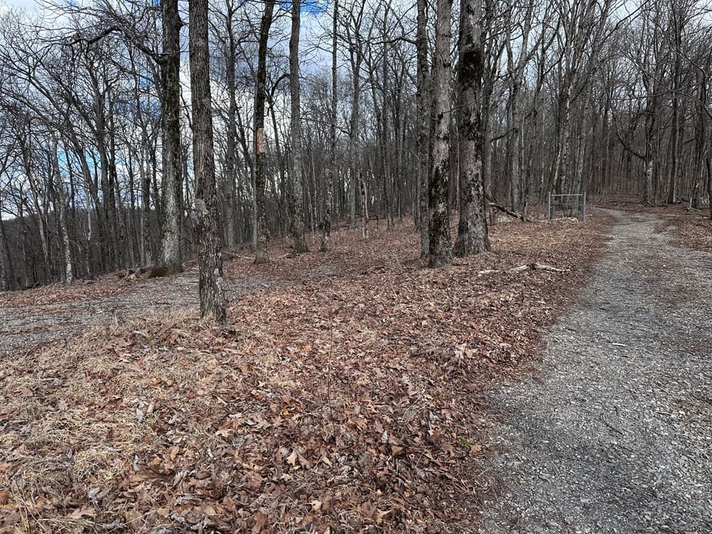 Trct C Old A T Approach Trail, Jasper GA 30143 - Photo
