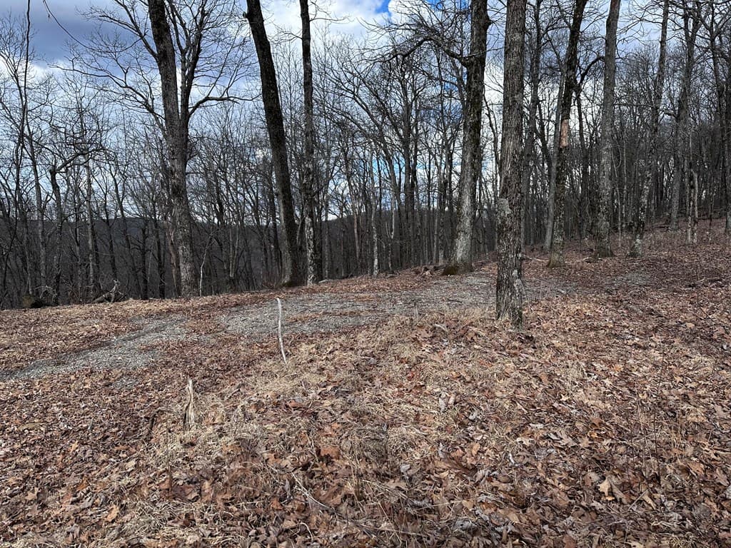 Trct C Old A T Approach Trail, Jasper GA 30143 - Photo