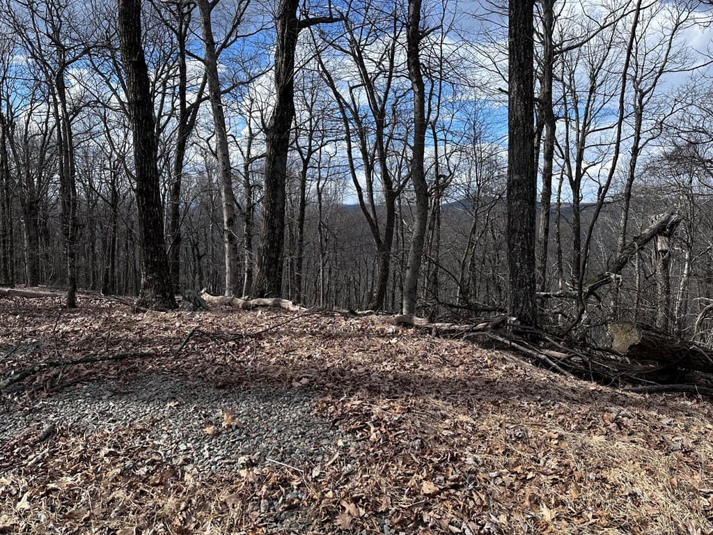 Trct C Old A T Approach Trail, Jasper GA 30143 - Photo