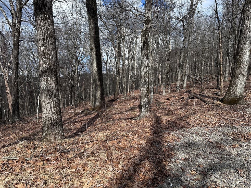 Trct C Old A T Approach Trail, Jasper GA 30143 - Photo