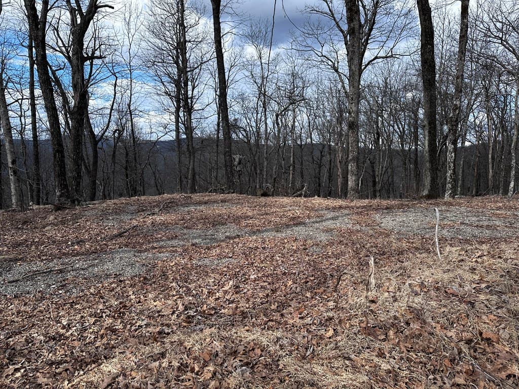 Trct C Old A T Approach Trail, Jasper GA 30143 - Photo