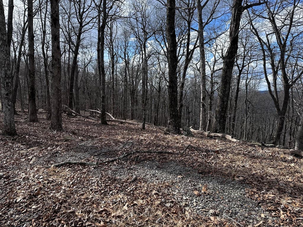 Trct C Old A T Approach Trail, Jasper GA 30143 - Photo