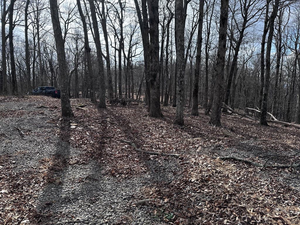 Trct C Old A T Approach Trail, Jasper GA 30143 - Photo
