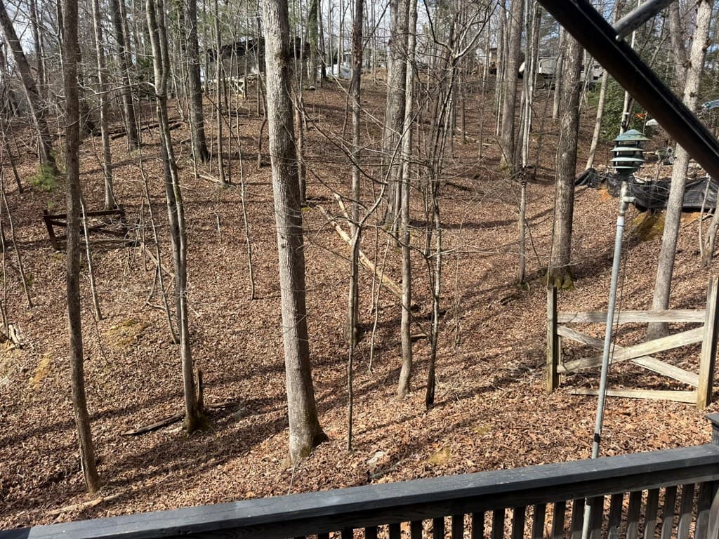 532 10th Street, Ellijay GA 30540 - Photo