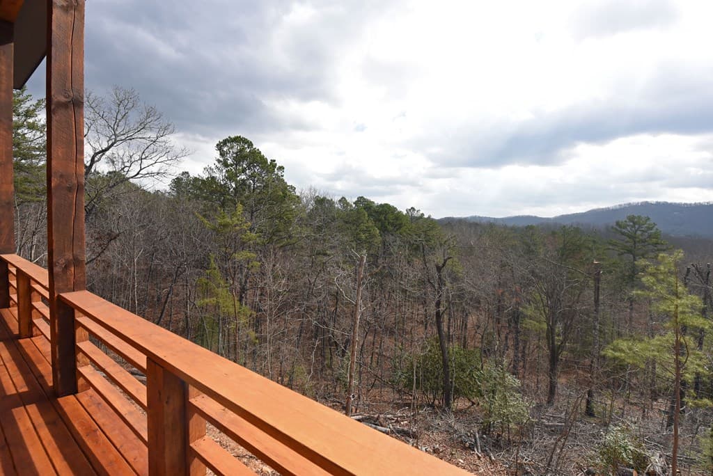 391 Crabapple Lane, Mineral Bluff GA 30559 - Photo