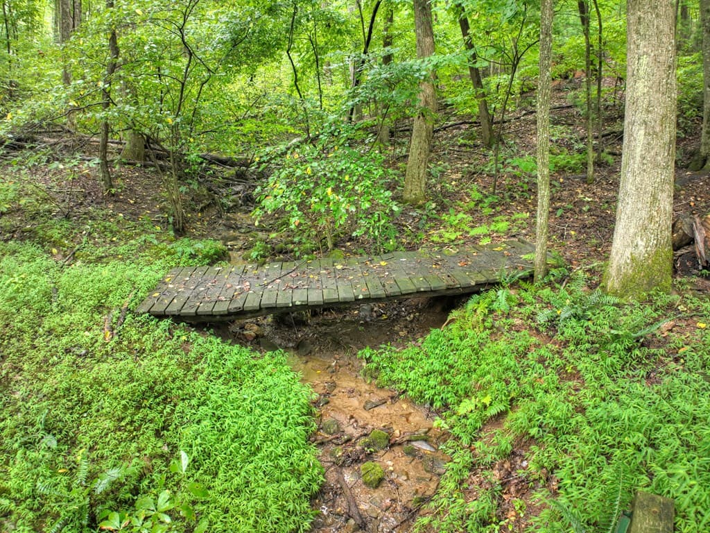 430 Chestnut Ridge, Blue Ridge GA 30513 - Photo