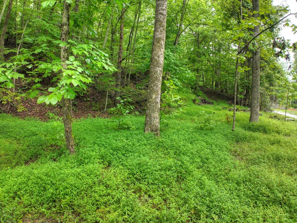 430 Chestnut Ridge, Blue Ridge GA 30513 - Photo