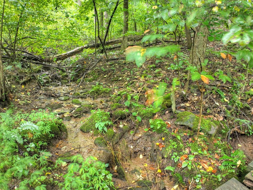 430 Chestnut Ridge, Blue Ridge GA 30513 - Photo