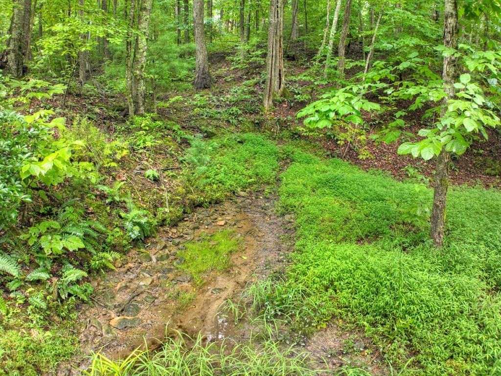 430 Chestnut Ridge, Blue Ridge GA 30513 - Photo