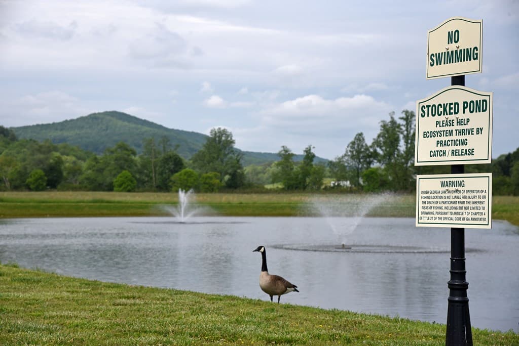 435 Golden Nugget, Blairsville GA 30512 - Photo