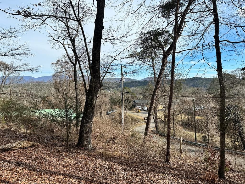 236 Logan Circle, Ellijay GA 30540 - Primary photo