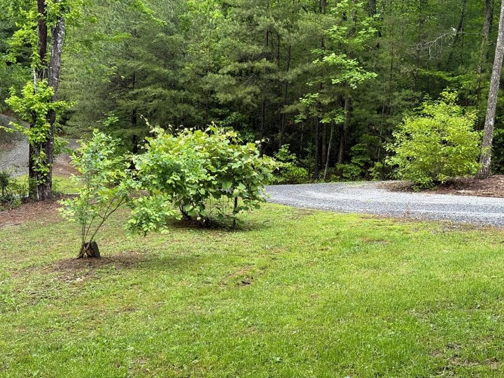 72 Victory Lane, Murphy NC 28906 - Photo