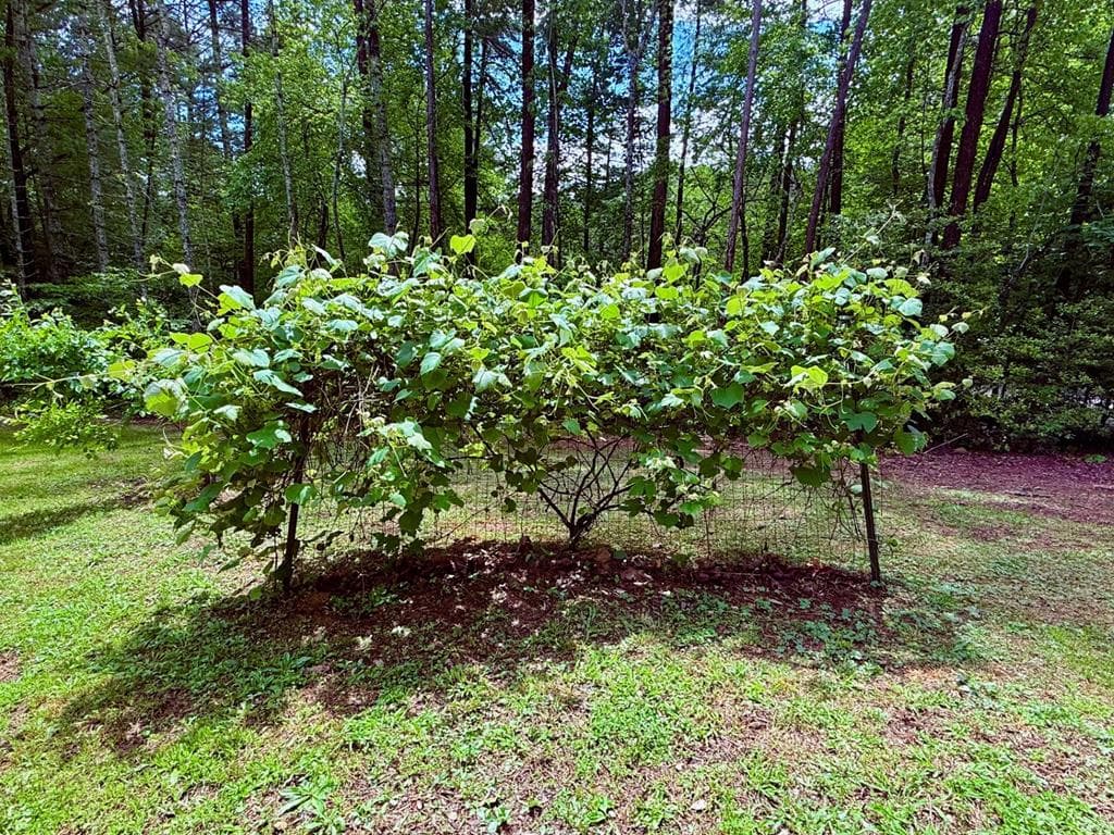 72 Victory Lane, Murphy NC 28906 - Photo