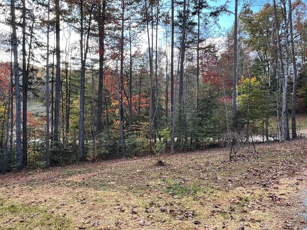 72 Victory Lane, Murphy NC 28906 - Photo