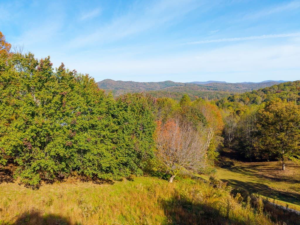 295 White Oak Drive, Warne NC 28909 - Photo