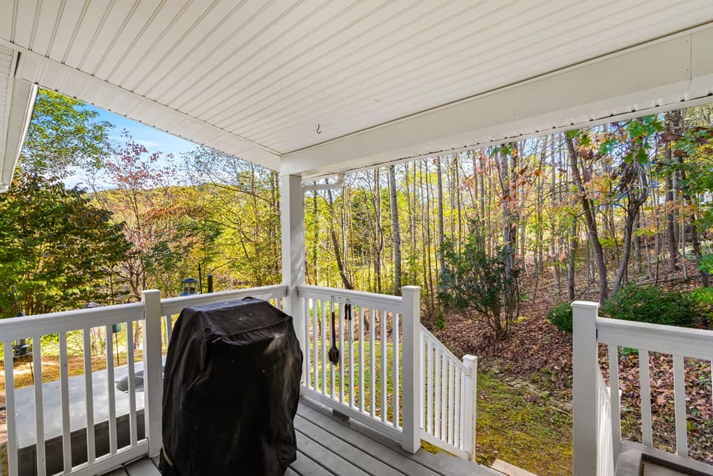 295 White Oak Drive, Warne NC 28909 - Photo
